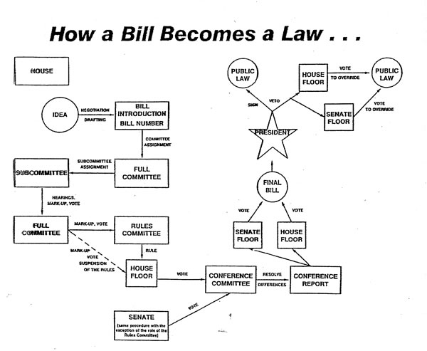 make a law